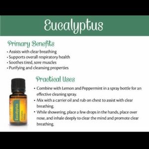 Perfect Stocking Stuffer - Eucalyptus DoTerra